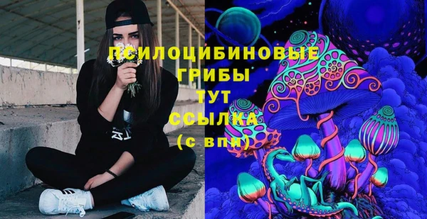 прущие грибы Балахна
