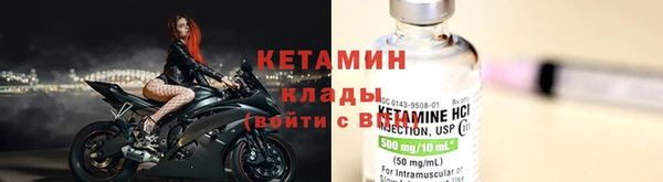 прущие грибы Балахна