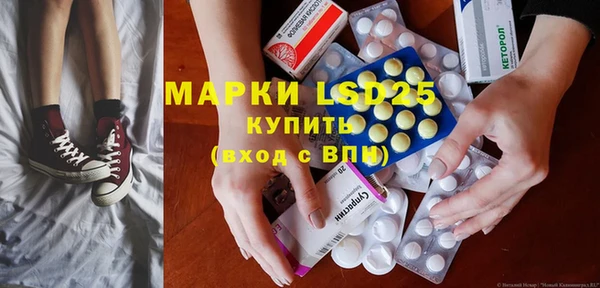 прущие грибы Балахна