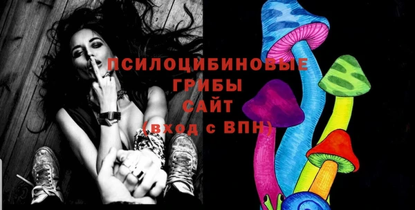прущие грибы Балахна