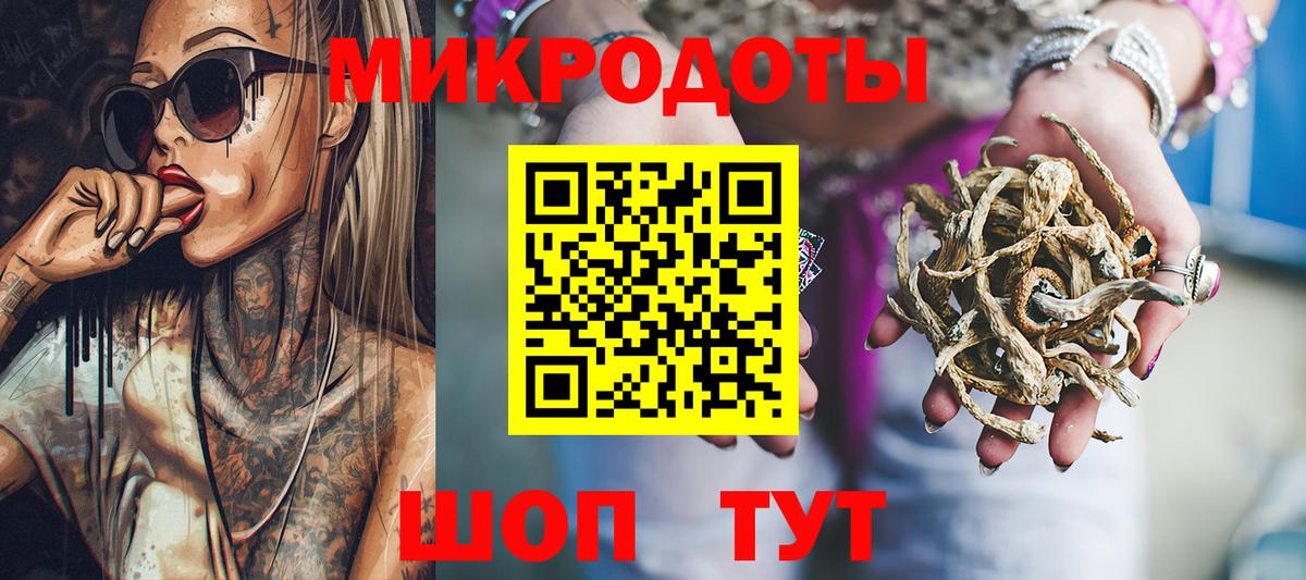 Псилоцибиновые грибы Psilocybe  Белово 
